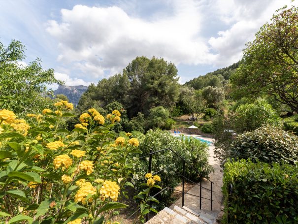 Garden steps to swimming pool